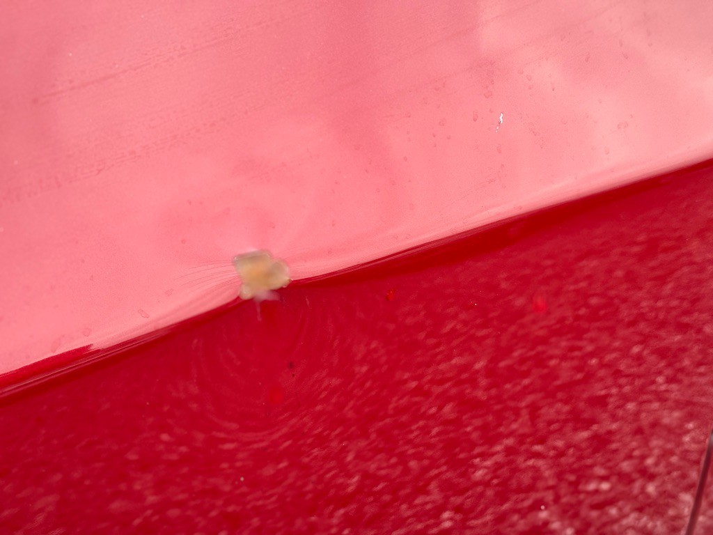 2010 Hyundai Elantra Image 10