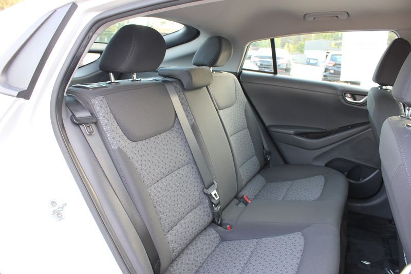 2019 Hyundai Ioniq Image 19