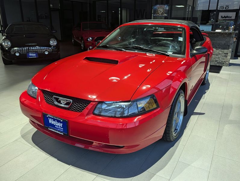2001 Ford Mustang Image 5