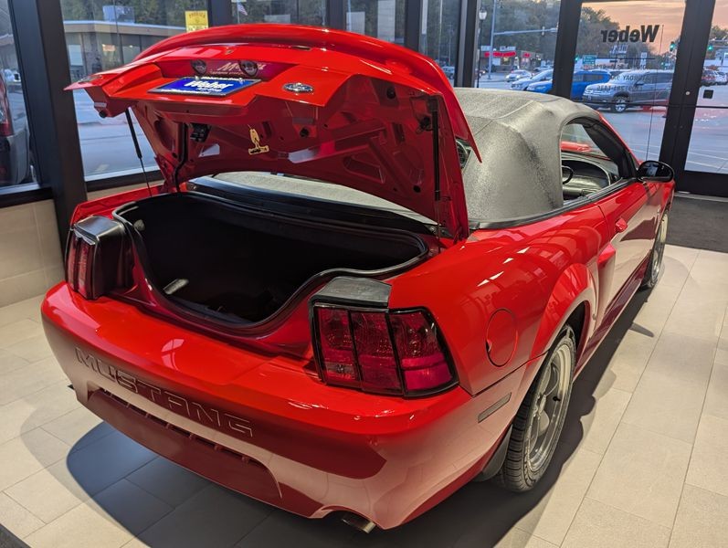 2001 Ford Mustang Image 10