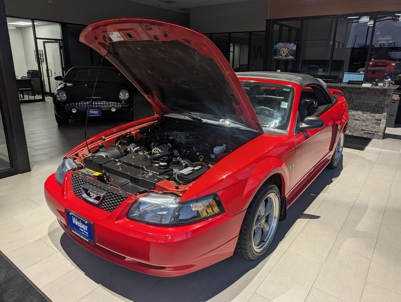 2001 Ford Mustang Image 22