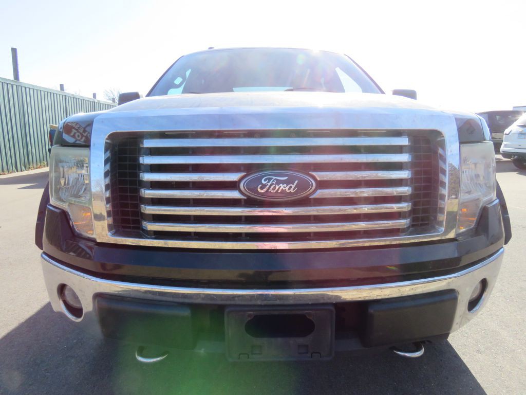 2010 Ford F-150 Image 3