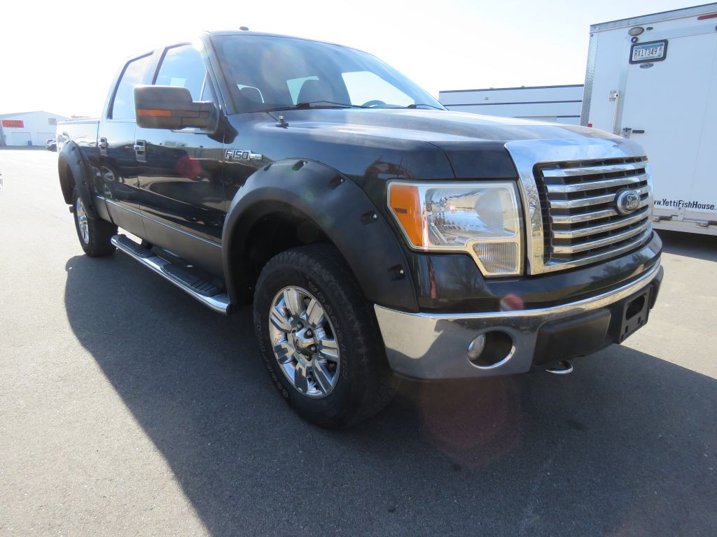 2010 Ford F-150 Image 4