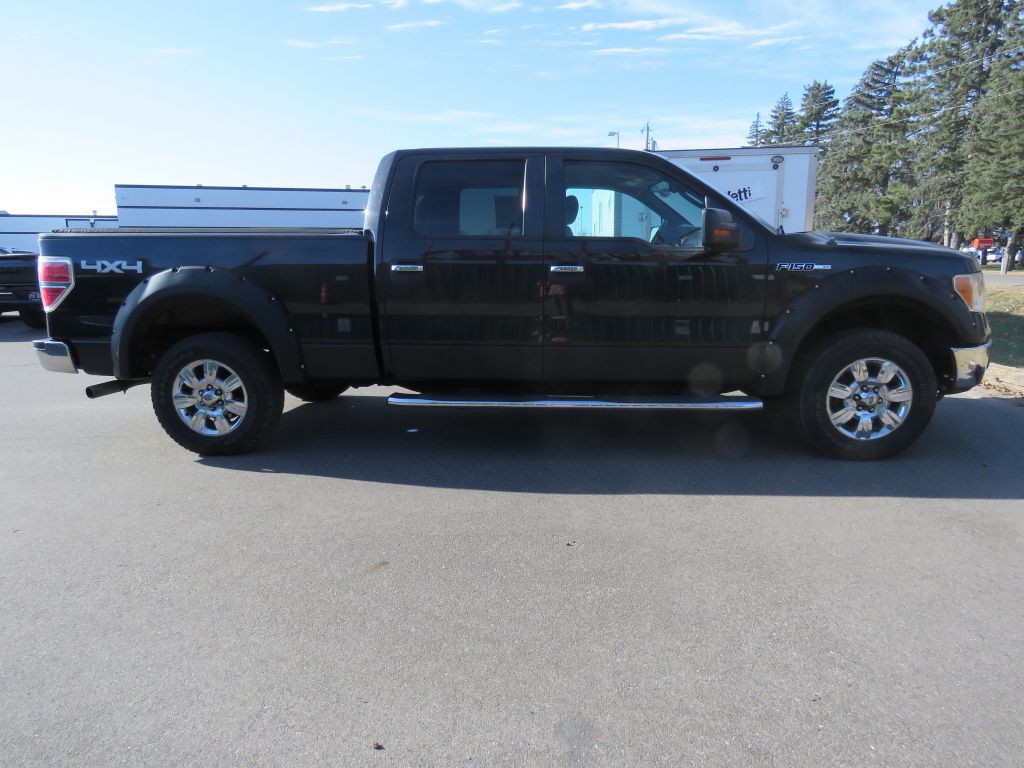 2010 Ford F-150 Image 5