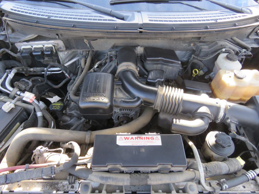 2010 Ford F-150 Image 9