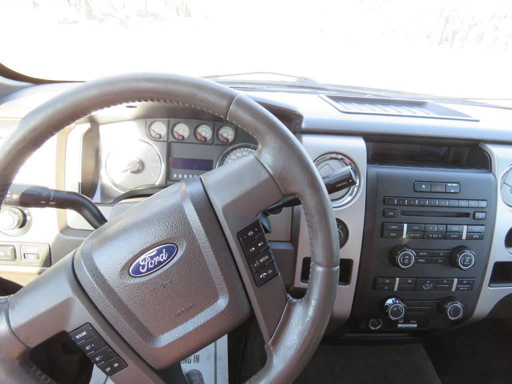 2010 Ford F-150 Image 13