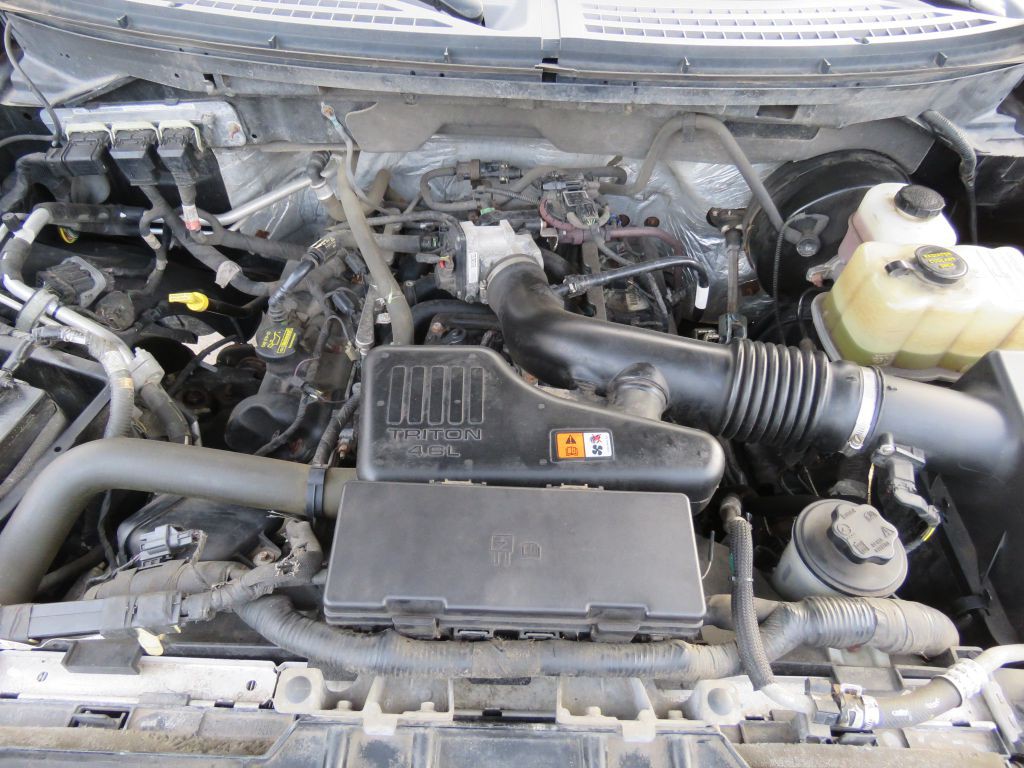 2009 Ford F-150 Image 12