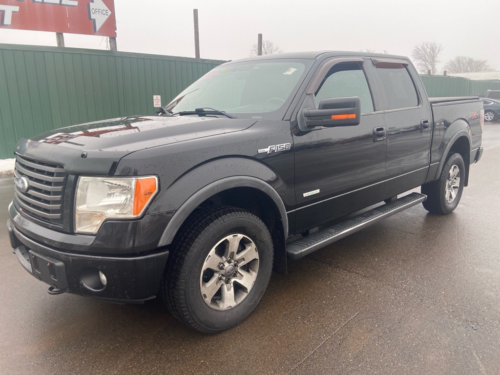 2011 Ford F-150 Image 2