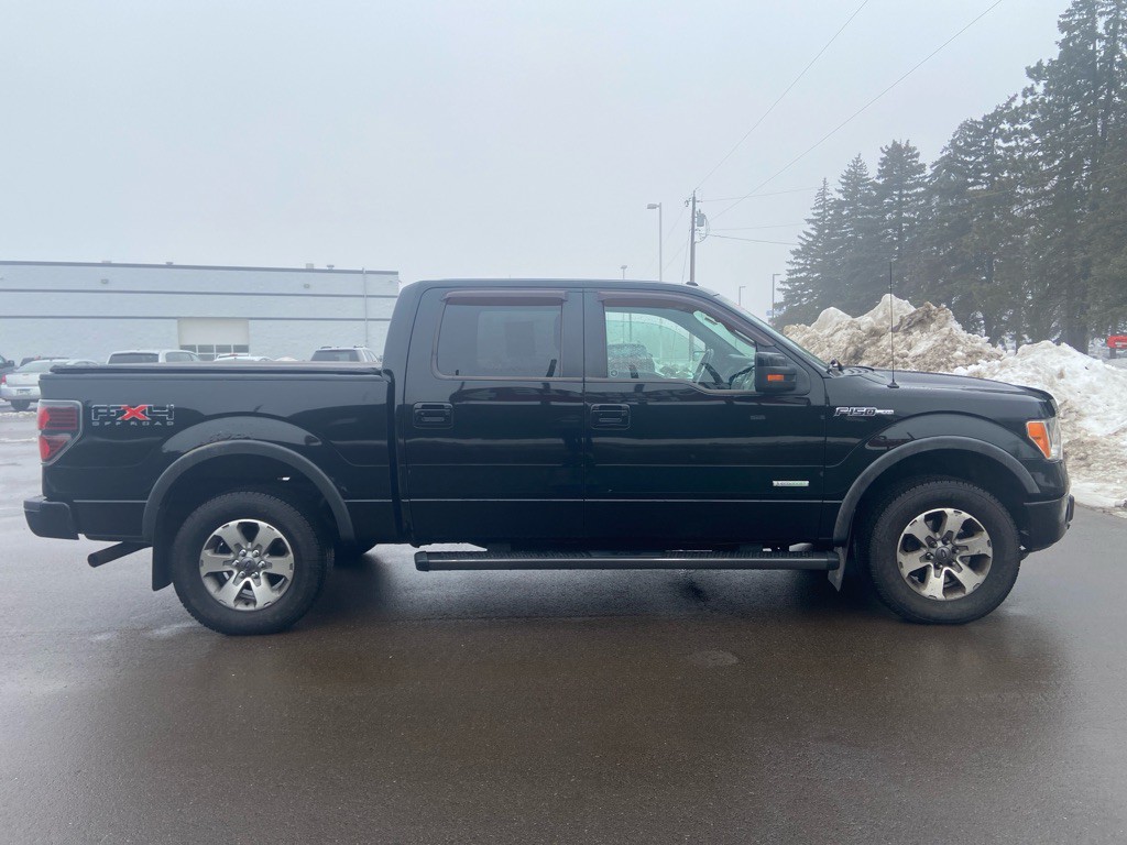2011 Ford F-150 Image 5