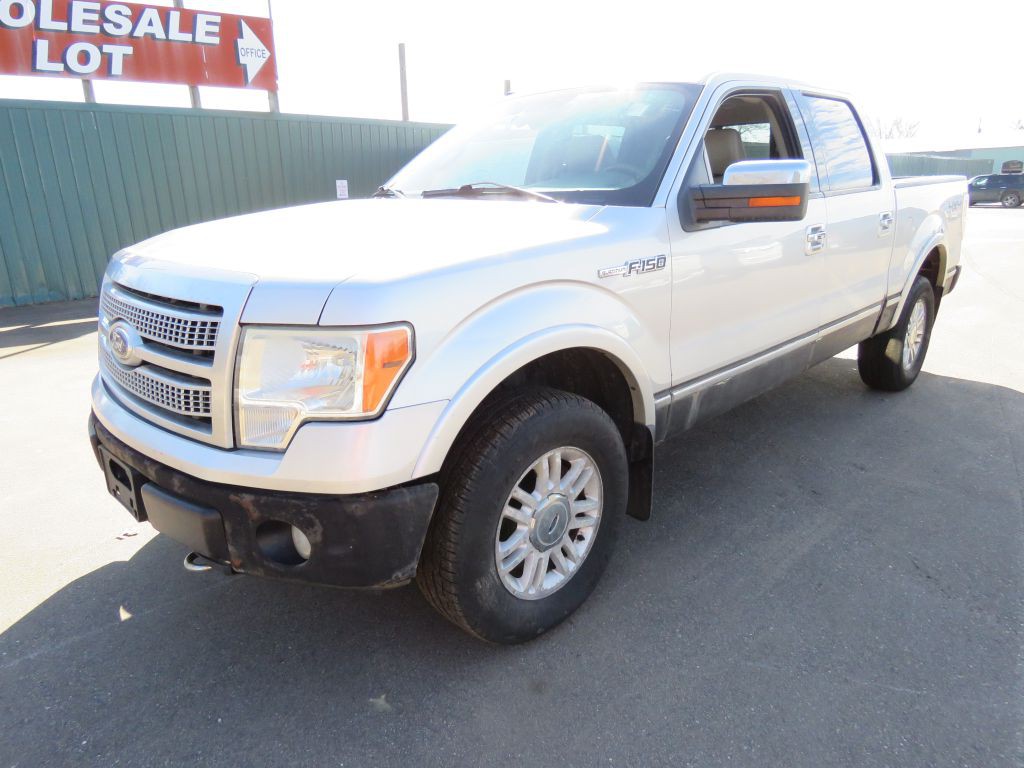 2010 Ford F-150 Image 2