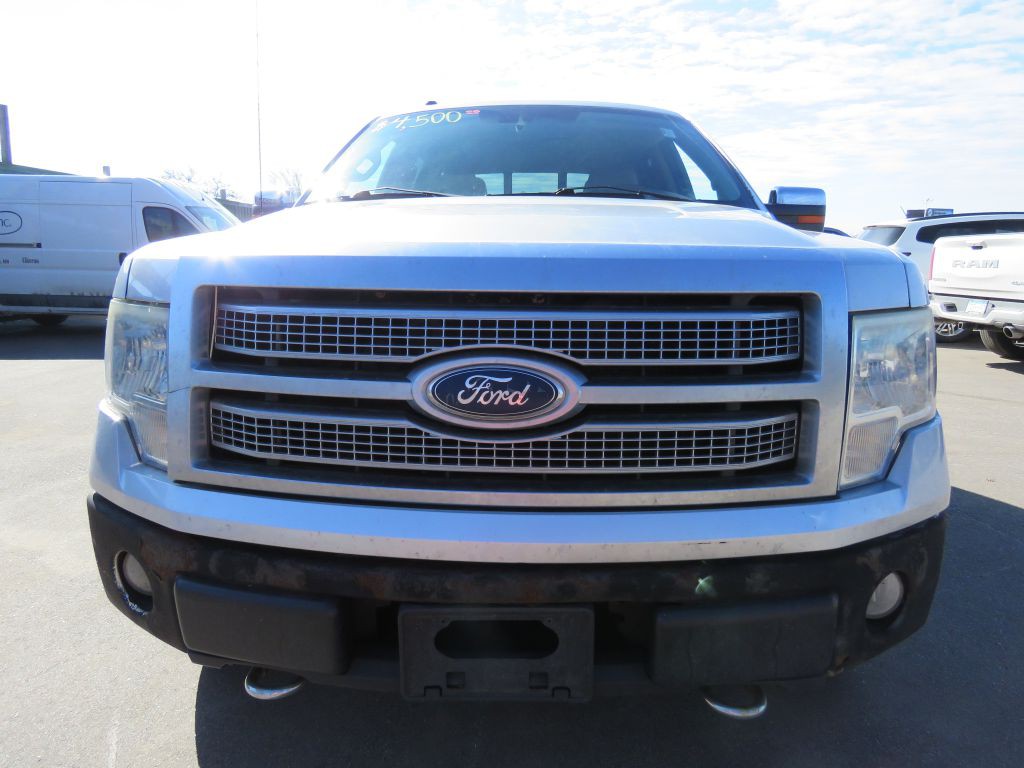 2010 Ford F-150 Image 3