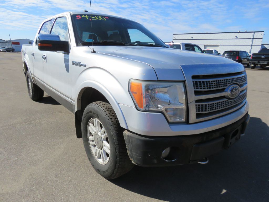 2010 Ford F-150 Image 4