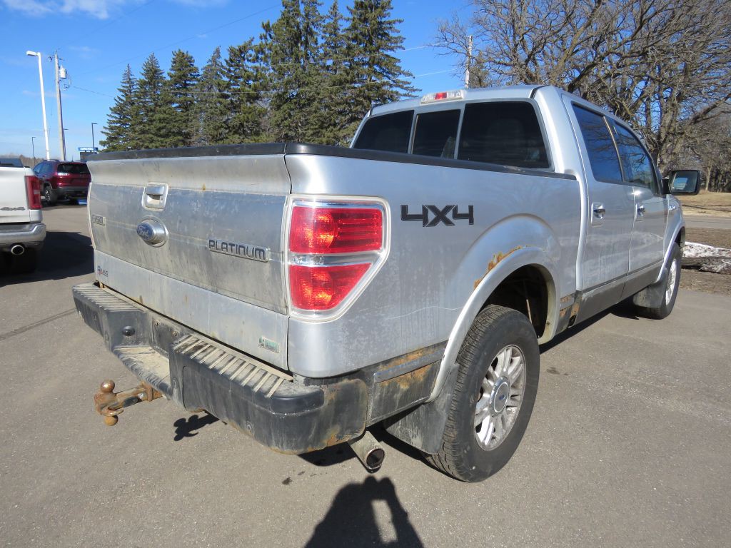 2010 Ford F-150 Image 6