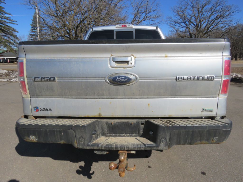 2010 Ford F-150 Image 7