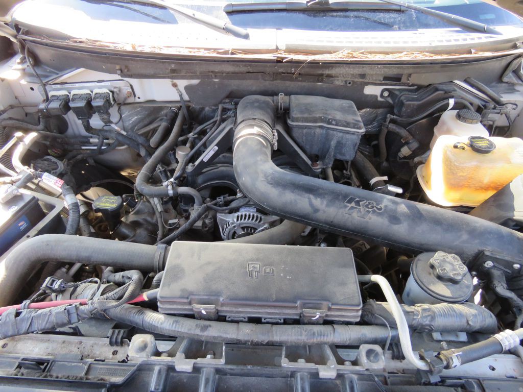 2010 Ford F-150 Image 12