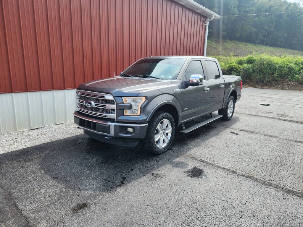 2015 Ford F-150 Image 3
