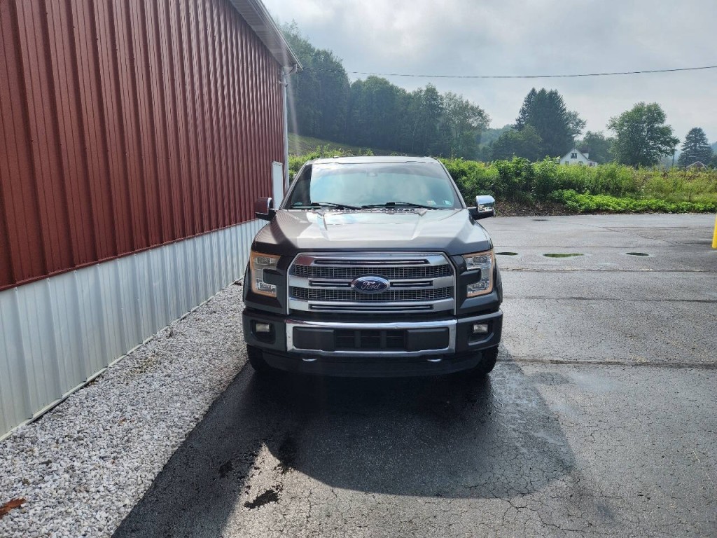 2015 Ford F-150 Image 4