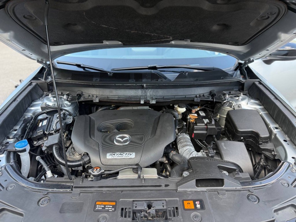 2019 Mazda CX-9 Image 19