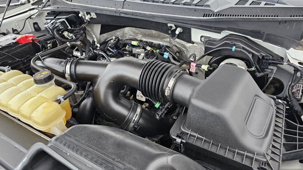 2019 Ford F-150 Image 4