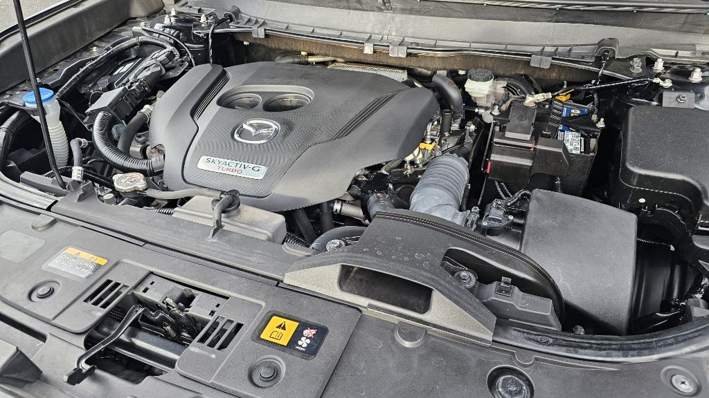 2021 Mazda CX-9 Image 9