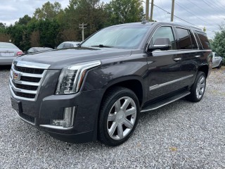 Image for 2017 Cadillac Escalade Luxury ID: 6886069