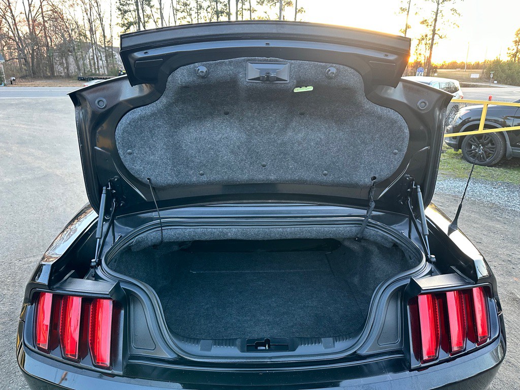 2015 Ford Mustang Image 11