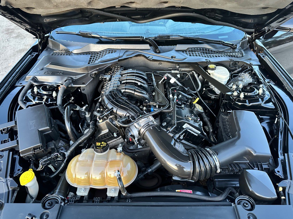 2015 Ford Mustang Image 12