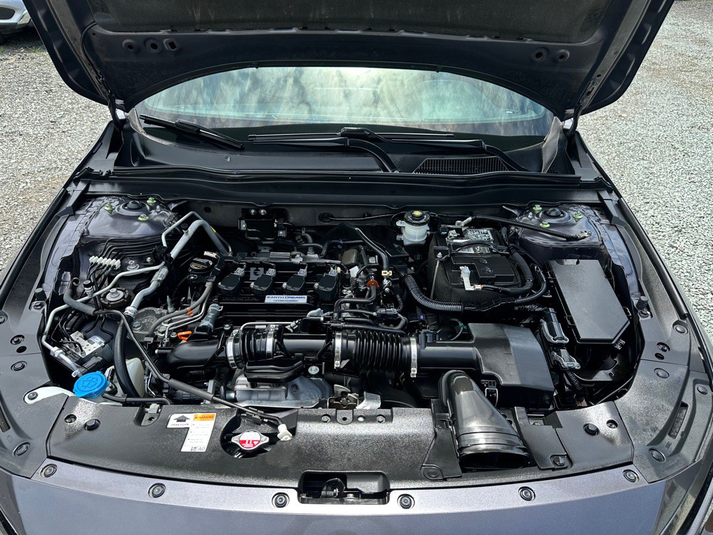 2020 Honda Accord Image 10