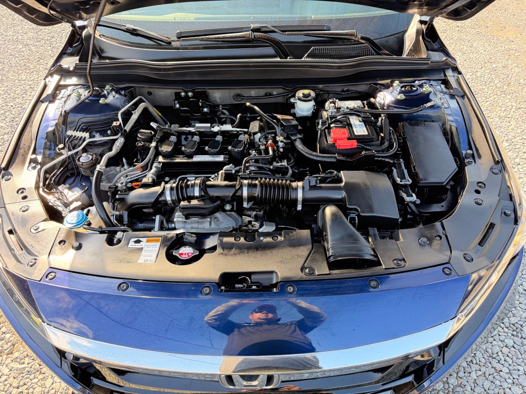 2019 Honda Accord Image 6
