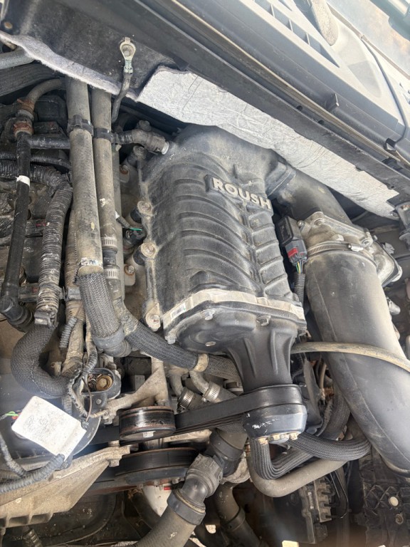 2011 Ford F-150 Image 6