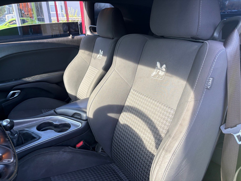 2019 Dodge Challenger Image 10