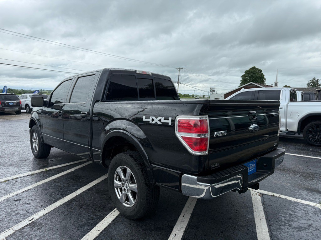 2010 Ford F-150 Image 3