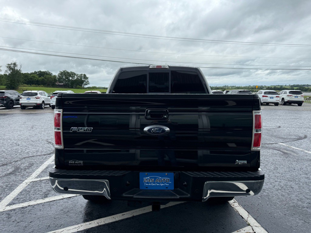 2010 Ford F-150 Image 4