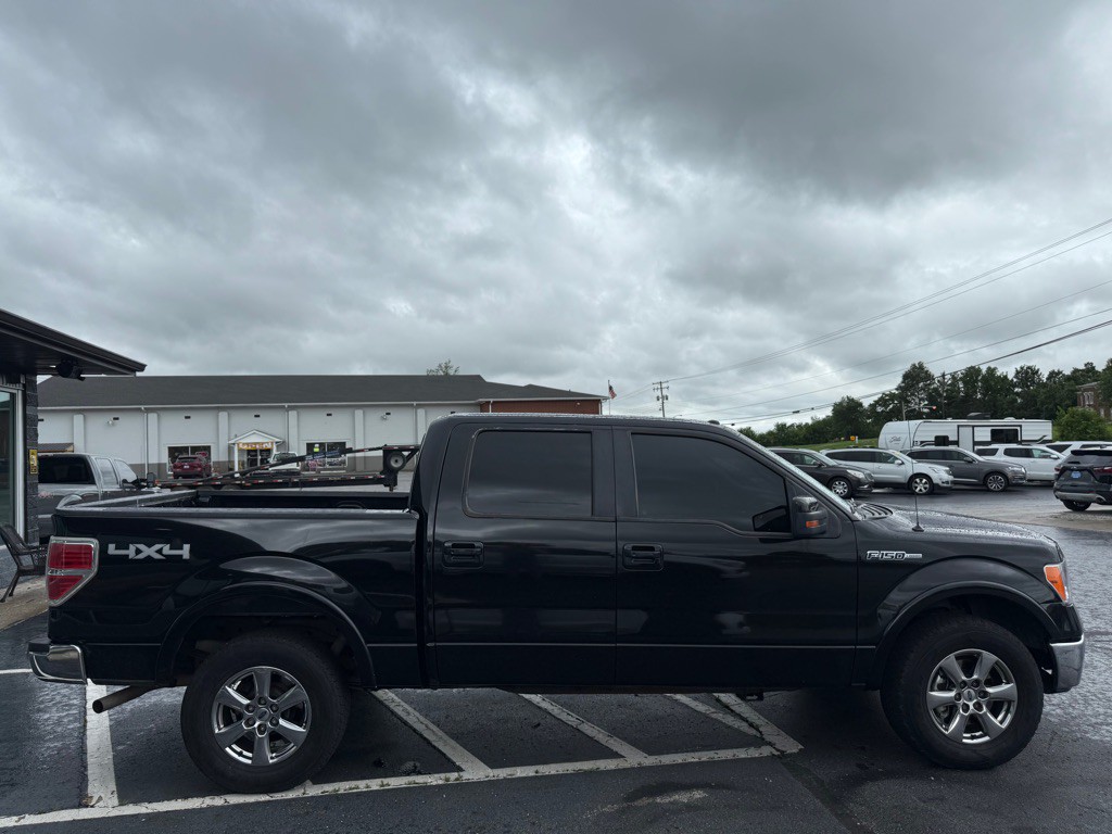 2010 Ford F-150 Image 6