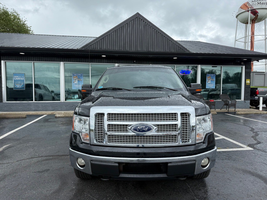 2010 Ford F-150 Image 8