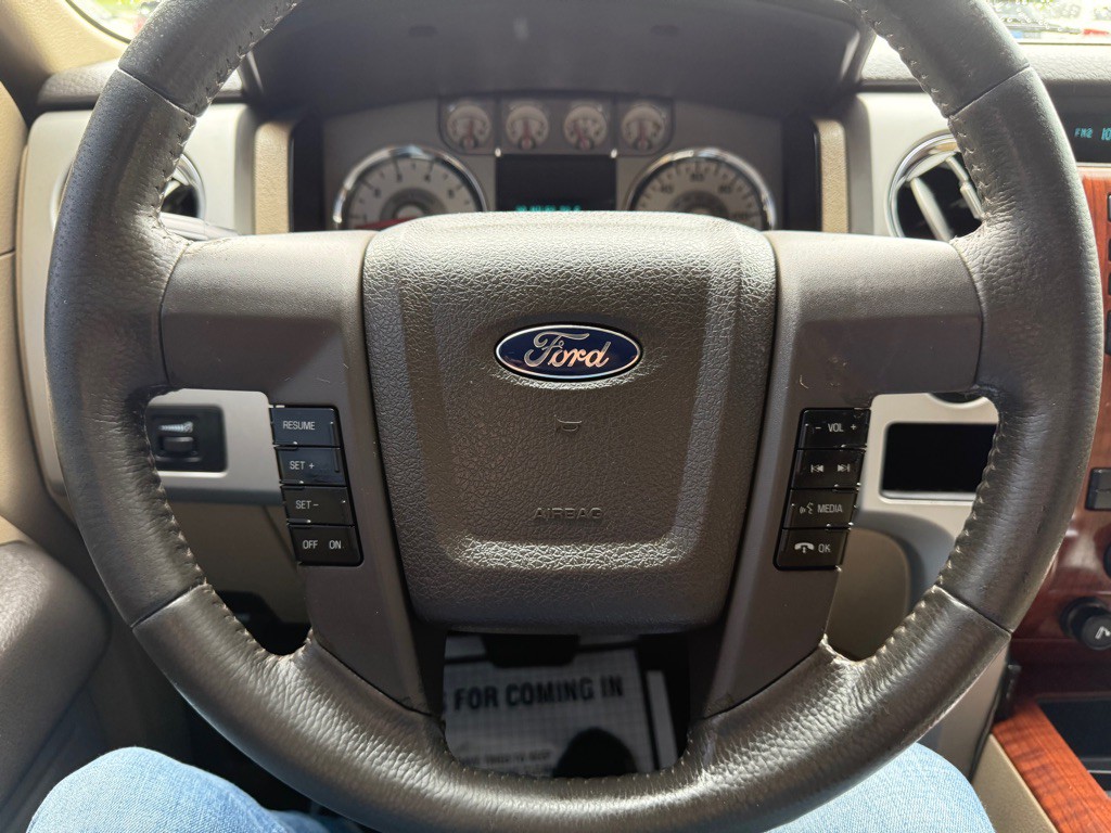 2010 Ford F-150 Image 14