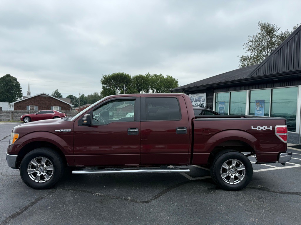 2010 Ford F-150 Image 2