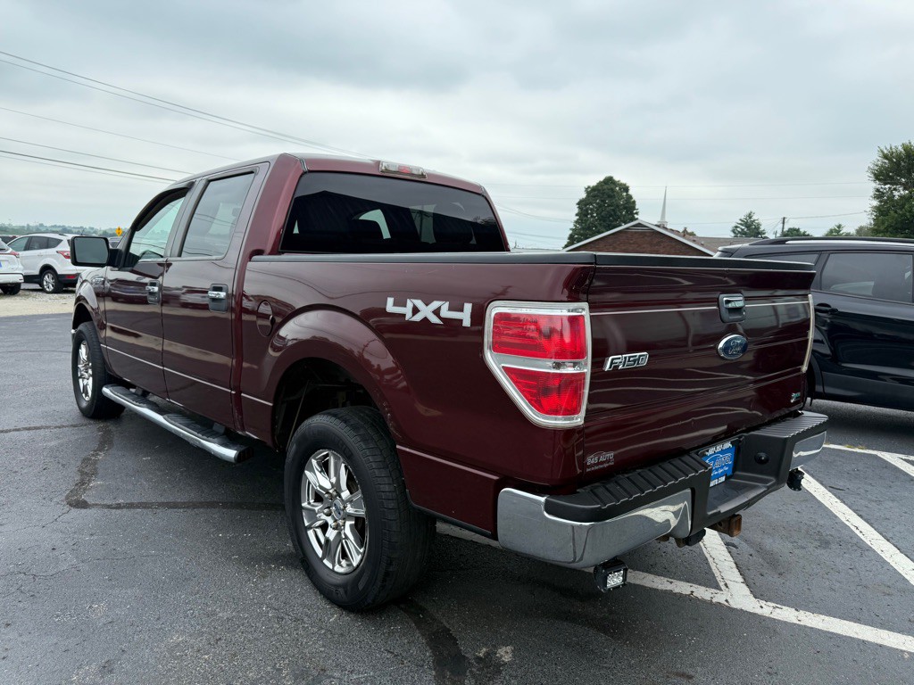 2010 Ford F-150 Image 3
