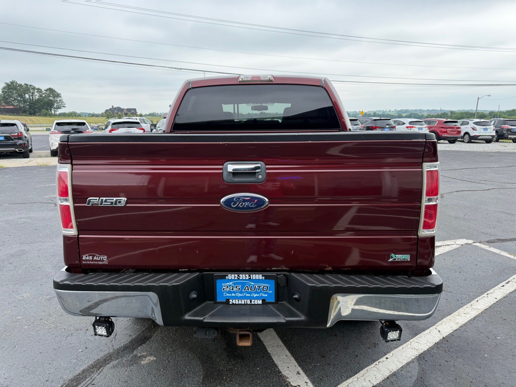 2010 Ford F-150 Image 4