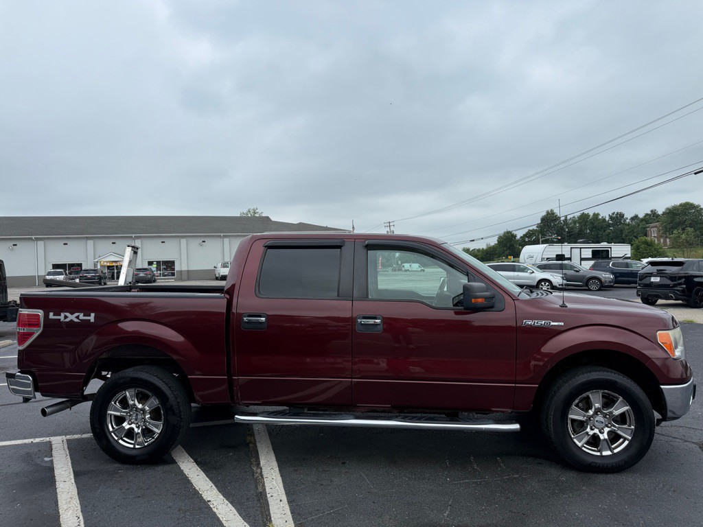 2010 Ford F-150 Image 6