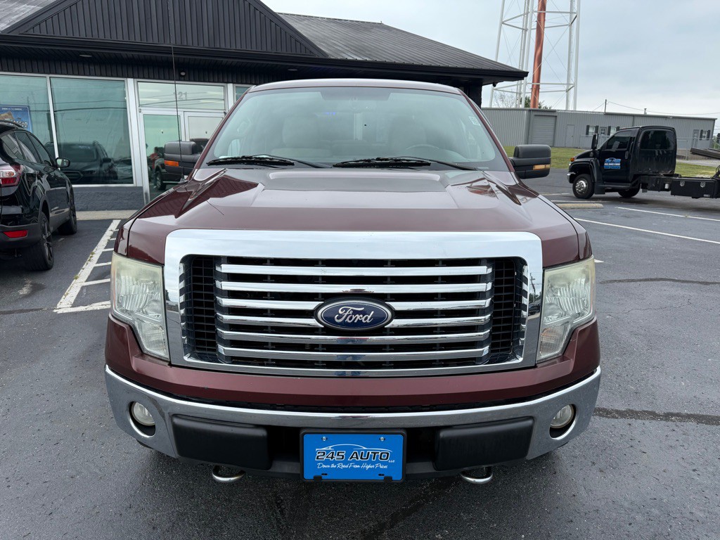 2010 Ford F-150 Image 8