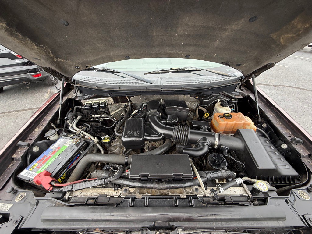 2010 Ford F-150 Image 20
