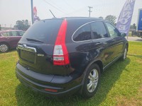 Image for 2011 Honda CR-V EXL ID: 6091895