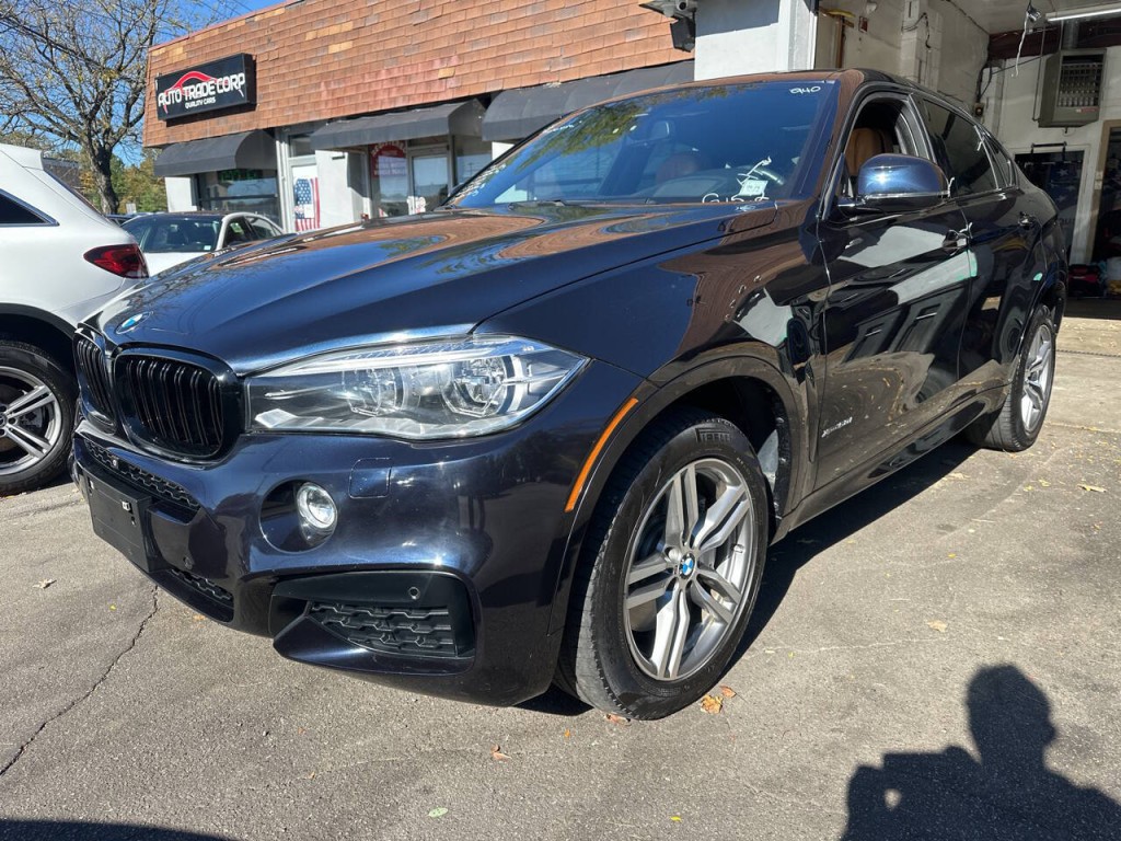 2015 BMW X6 Image 2