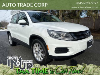 Image for 2017 Volkswagen Tiguan 2.0T Limited S 4Motion ID: 7243671