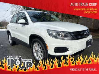 Image for 2017 Volkswagen Tiguan 2.0T Limited S 4Motion ID: 7243671