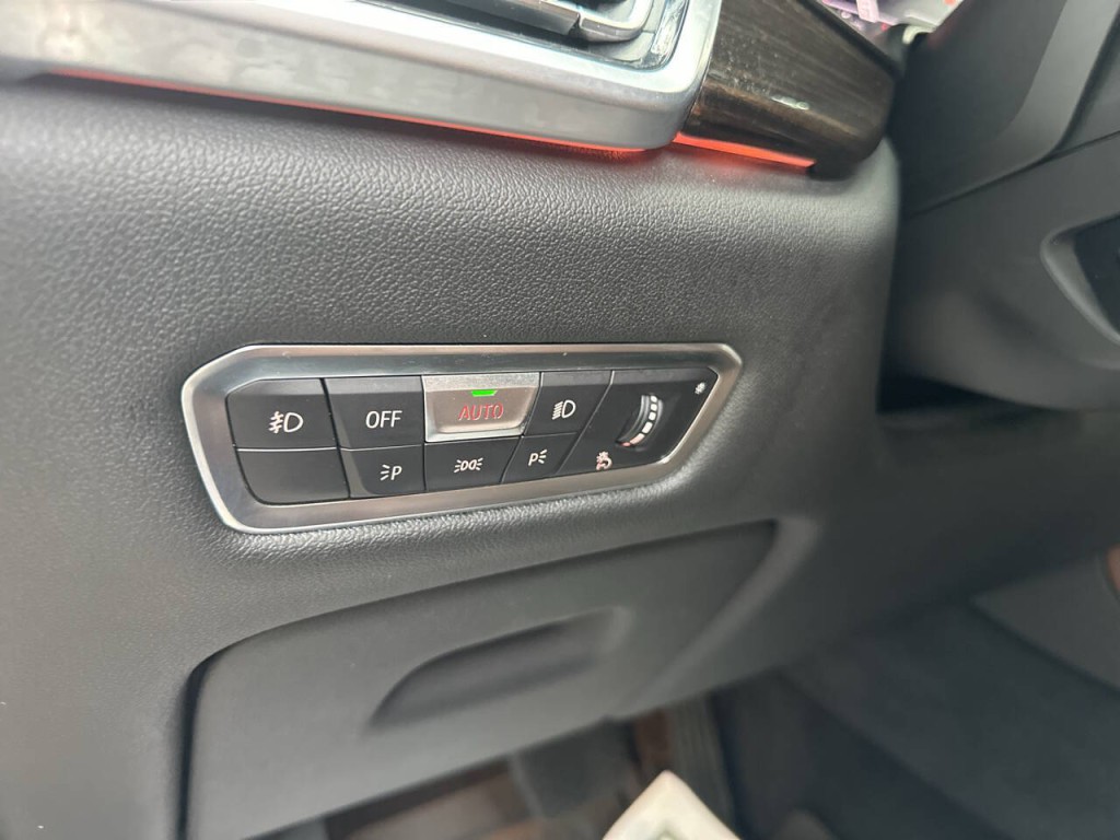 2019 BMW X5 Image 19