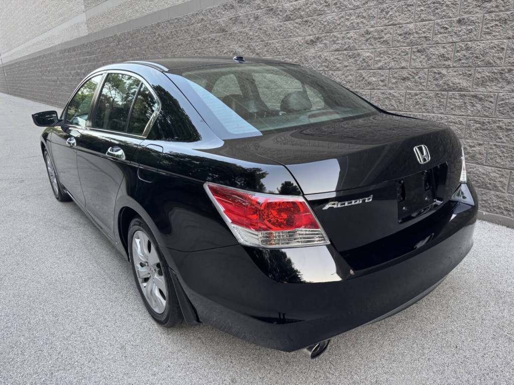 2010 Honda Accord Image 6