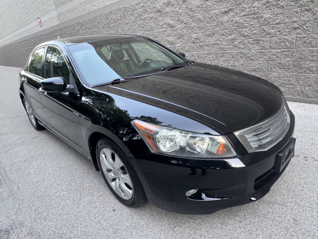 2010 Honda Accord Image 11