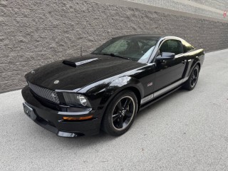 Image for 2007 Ford Mustang GT Premium Fastback ID: 7563477
